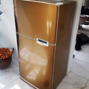 13642873_1162171780511777_1077158800_n